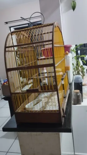 Gaiolas para passarinho