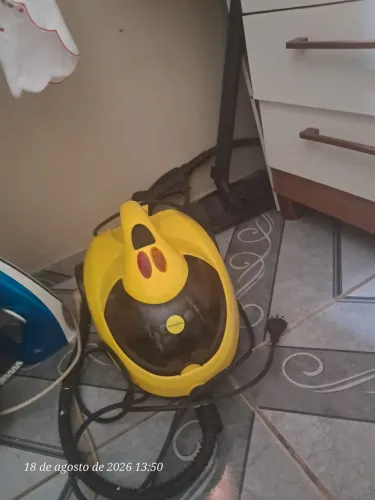 Vaporizador e higienizador