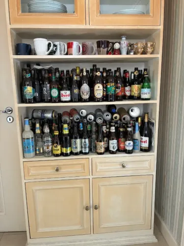 COLEÇÃO DE CASCOS DE CERVEJA ARTESANAL