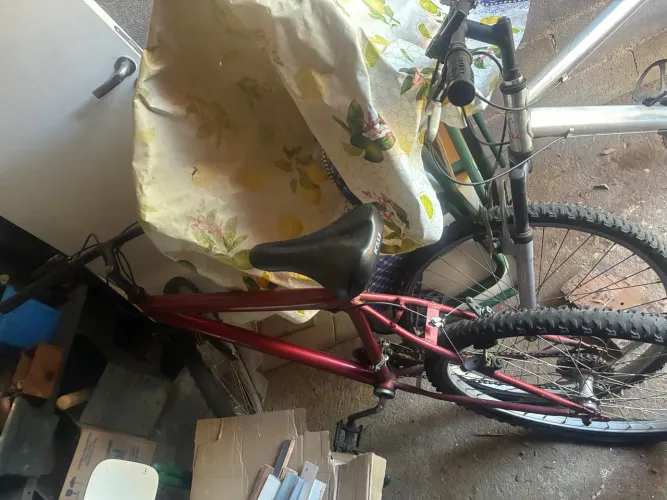 Bicicleta