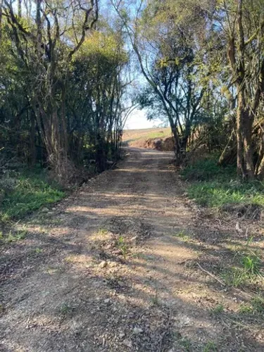 Chácara de 2 alqueires a 12 km da cidade