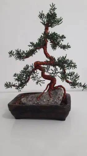 Bonsai, bonzai, arranjo permanente