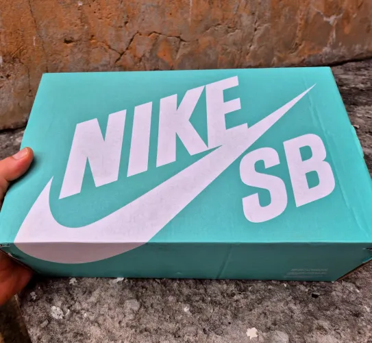 Nike SB FORCE 58 branco - low