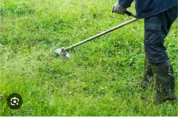 Limpeza de terreno cortar a grama roçar podar árvores ? eu resolvo 99173.46.45 