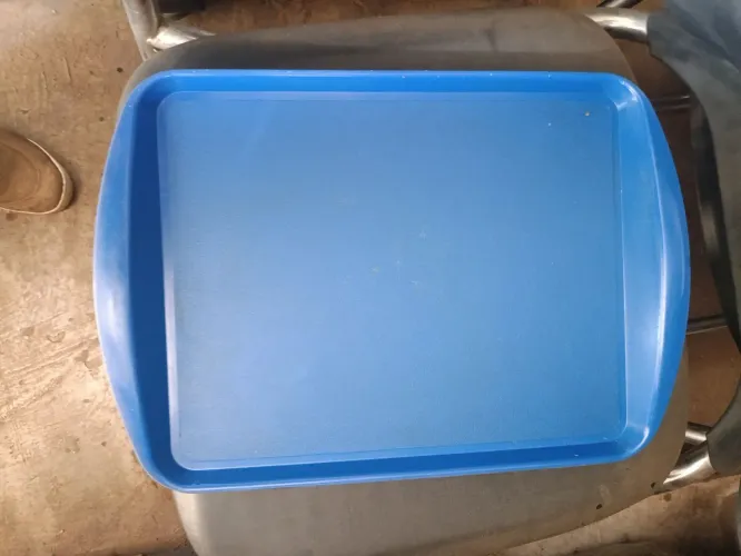 Bandeja plástica 