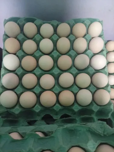 Ovos caipira