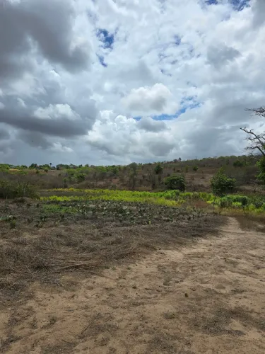 06 HECTARES  - SÃO JOSÉ DA MATA