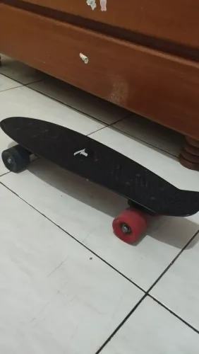 Skate Cruiser