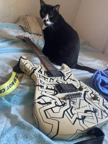 ESP LTD CUSTOM