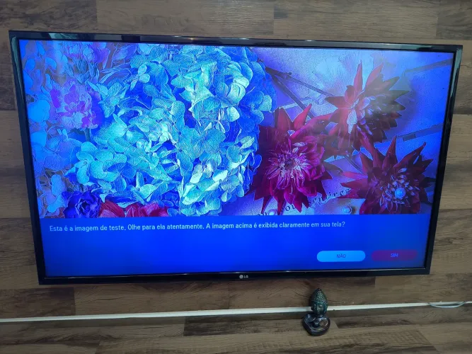 SMART TV LG 43 Polegadas