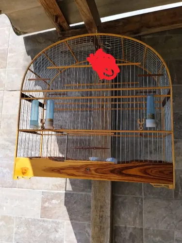 Gaiola top