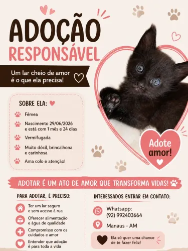 Gatinha linda e carinhosa para adoção
