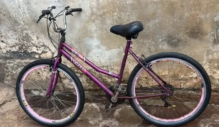 LINDA BIKE ROSA ARO 26