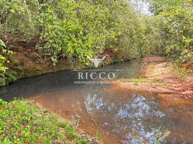 CHÁCARA À VENDA EM CROMÍNIA  GO | 17,5 ALQUEIRES