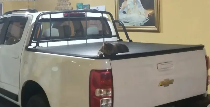 Santo Antonio da Pick-up S10 comprei novo e usei pouco. Entrega pessoalmente