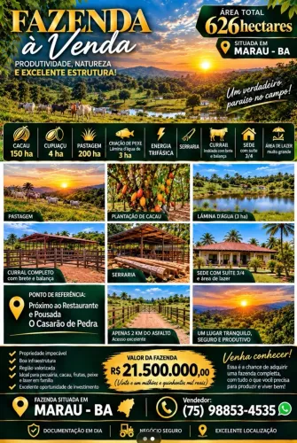 Vendo fazenda