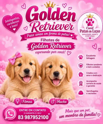 Animais de estimação