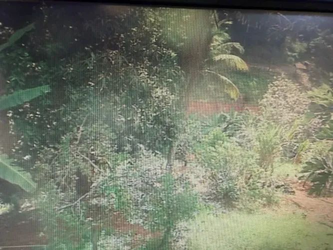 Caseiro para sítio localizado em cariacica