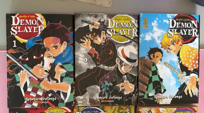 Coleção Demon Slayer 1 ao 6 - Kimetsu no Yaiba - Mangás Panini
