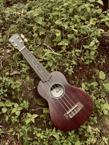 UKULELE