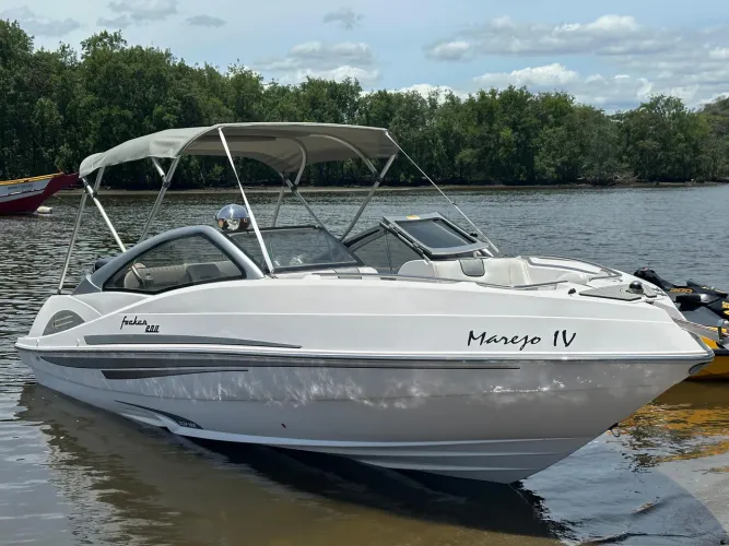 Focker 205