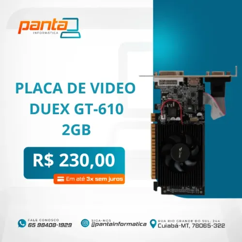 Placa de vídeo GT 610