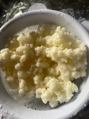 Muda Kefir