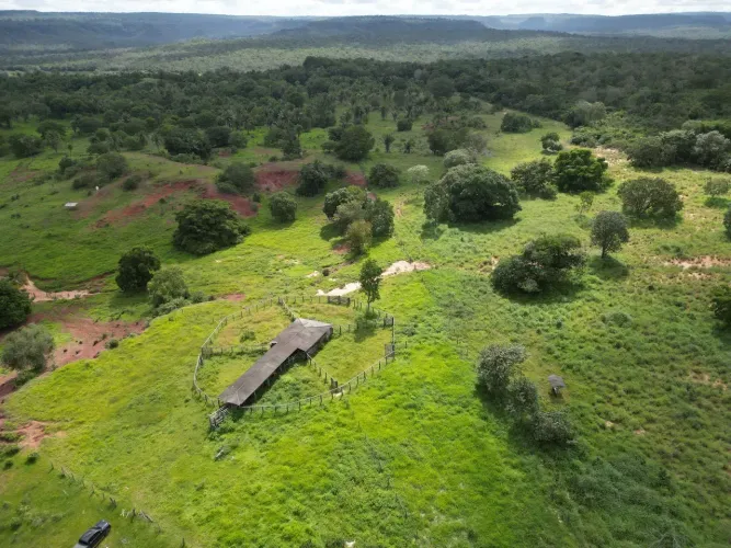 Excelente Fazenda com 565 Hectares no Município de / Babaçulândia - TO