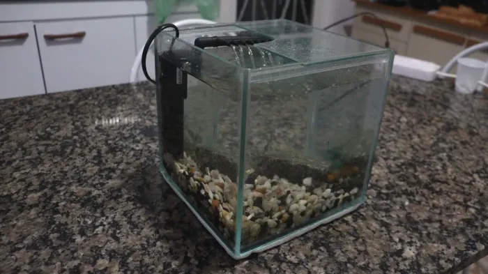 Aquário