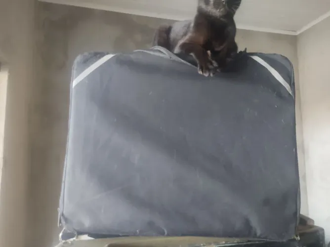 BAG DE ENTREGADOR