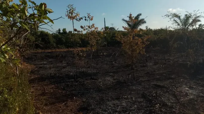 Oportunidade Terreno bem localizado em Salinas