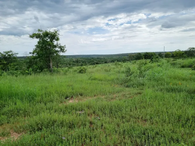 Fazenda barata em Urucuia MG