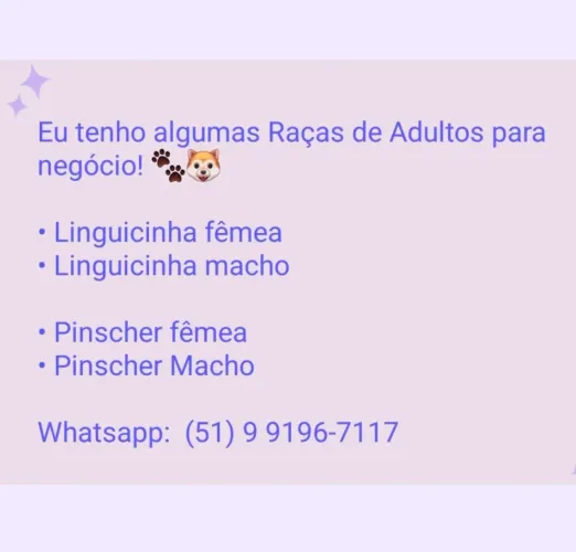 Fotos e informações chamar no whatsapp!!