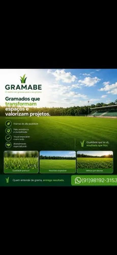 Grama Esmeral - A Pronta Entrega