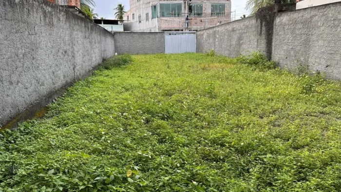 Terreno Murado 8x30 m em Condomínio de Casas - Bairro Tranquilo