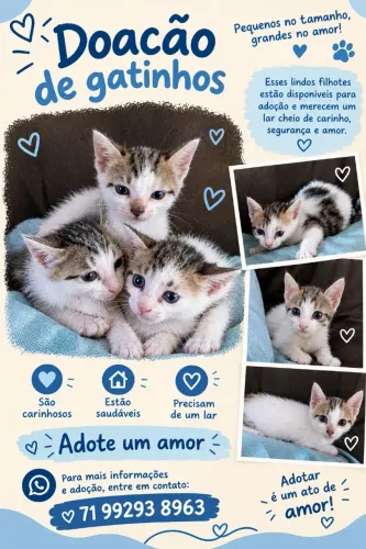 Adoção 