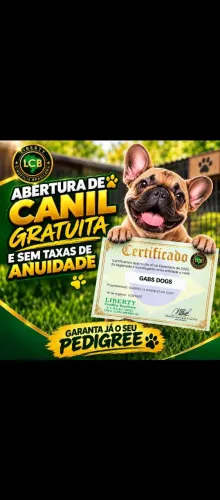 Solicite já o Pedigree do seu cão de Raça