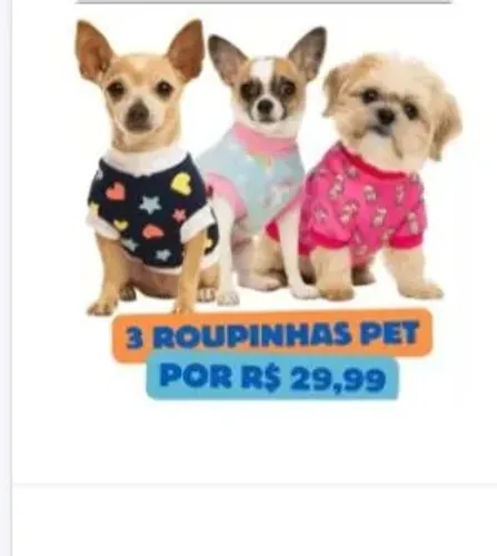 Roupinha pra cachorro tamanho PP três peças