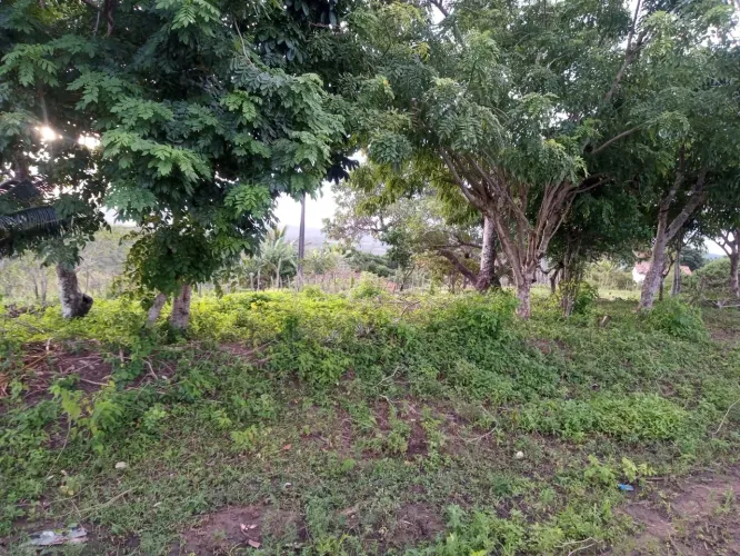 Vendo sítio próximo a cidade de massaranduba 300 metros da cidade Valor 120 mil 5 hectare
