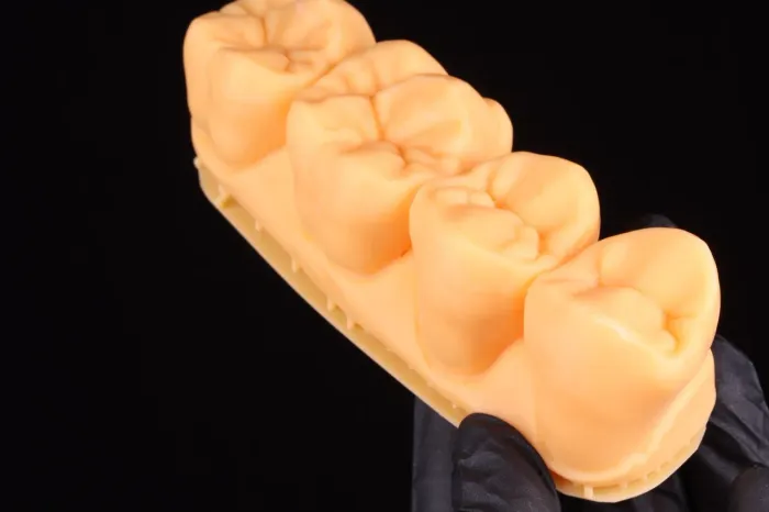 Macro modelos odontológicos kit