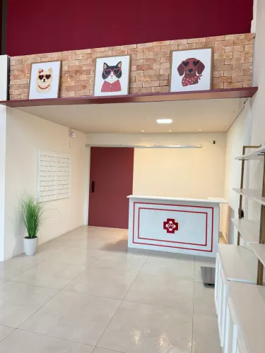 Vendo loja veterinária com Consultório montado !