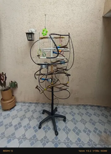 Poleiro móvel para aves silvestre: Araras, papagaio, e outros 