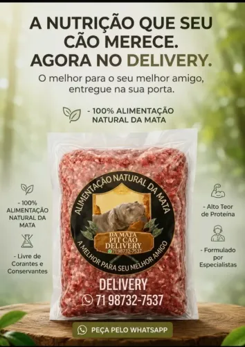 Alimentação para cães
