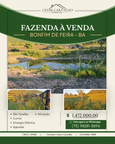 FAZENDA EM BONFIM DE FEIRA - 184 TAREFAS