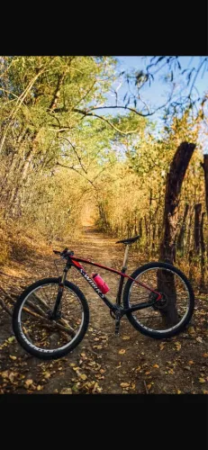 Bicicleta de carbono MTB 