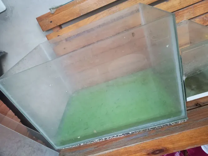 Aquários usados e sujos porém baratos diversos tamanhos. Termostato e sifonador disp.