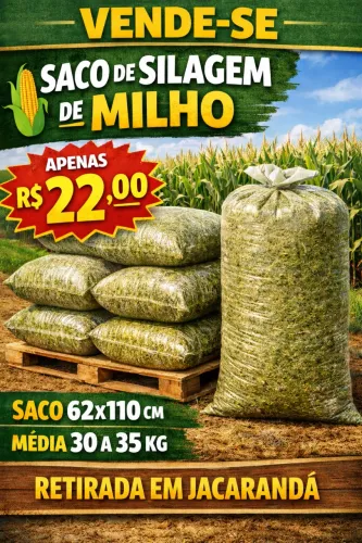 Silagem milho ensacada 30 a 35kg saco 62x110