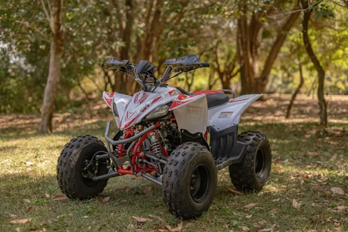 ALPHA  CROSS 125 EX MINI QUADRI 4X2 SEMI AUTOMÁTICO BRANCA 2026/2026