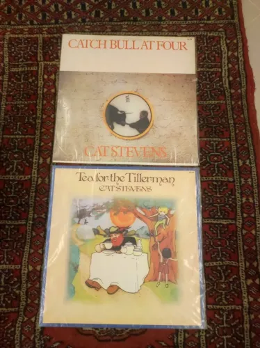 2 LPs Cat Stevens - Lote Colecionador | Folk Rock dos Anos 70 Funcionando