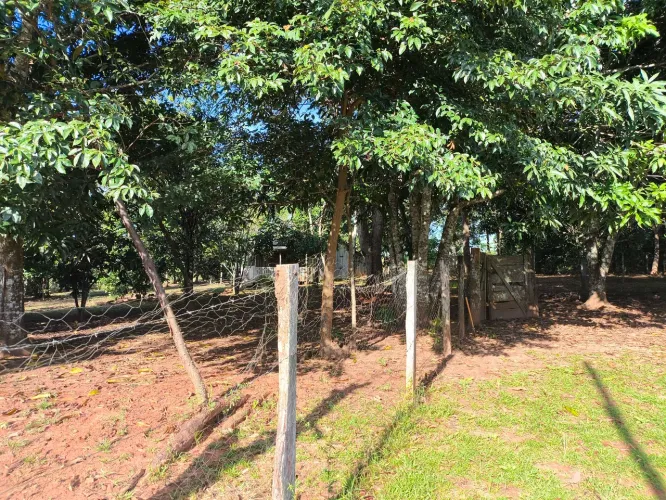 Venda de Terra - BR 317 Km 30 | Ramal do Iquiri Km 3